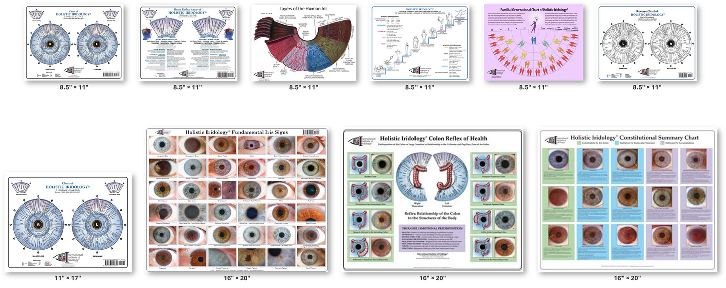Holistic Iridology® 10 Chart Set