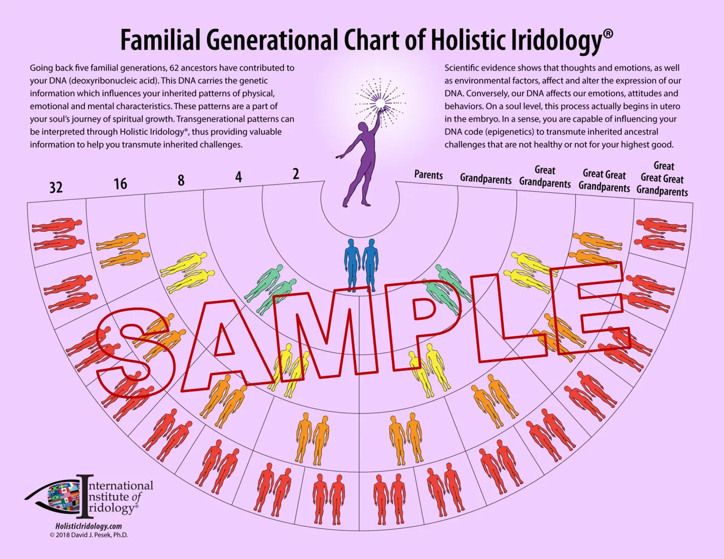 Familial Generational Chart of Holistic Iridology®