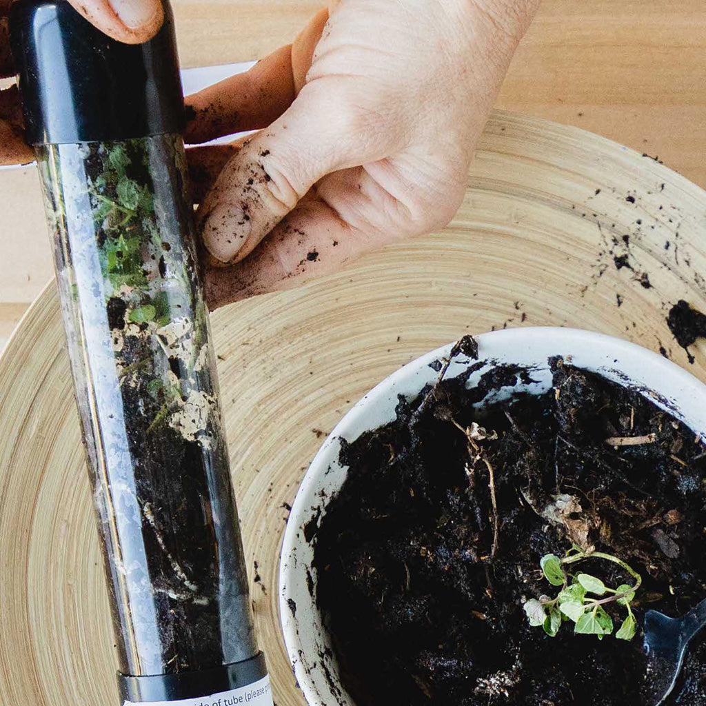 Level 1000—Horticulture