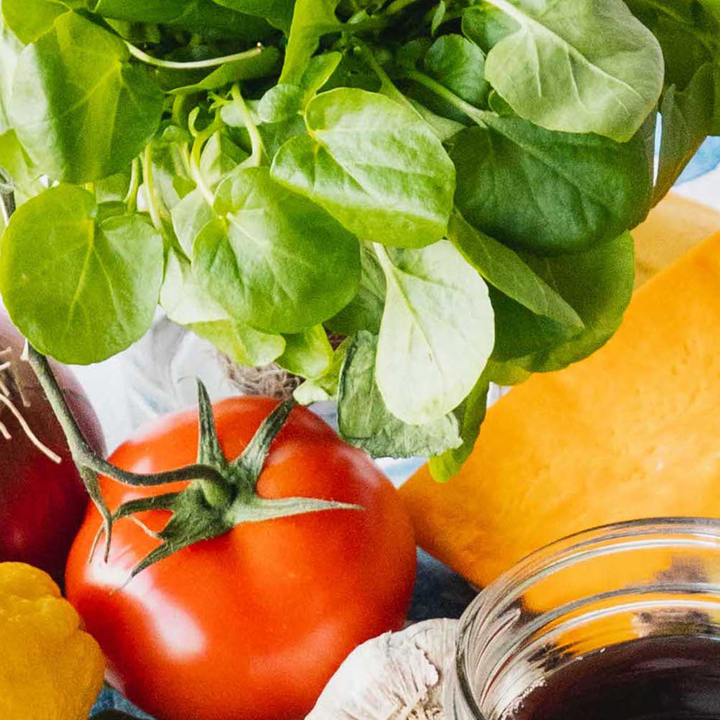 Level 200—Introduction to Vitalism