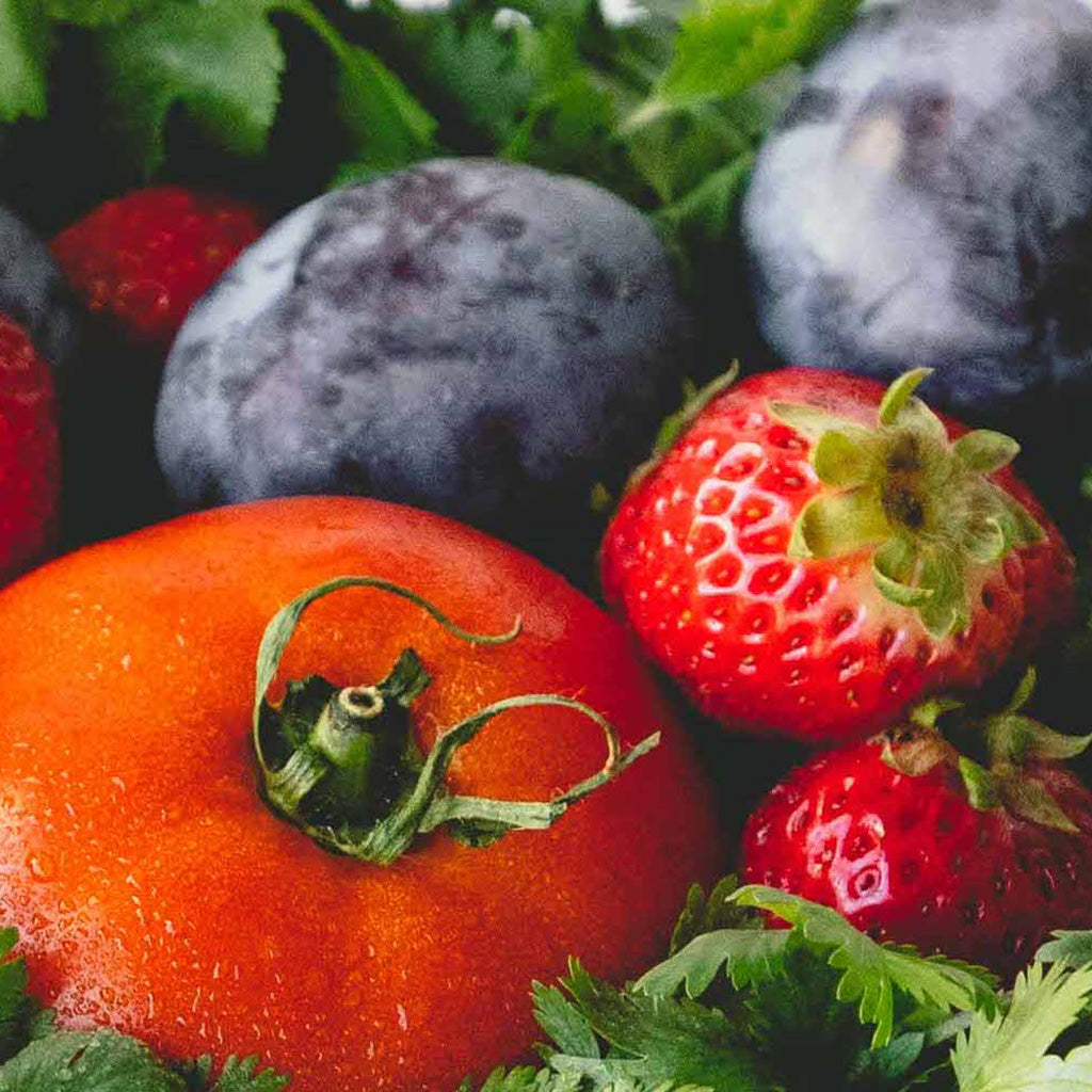 Level 300—Holistic Herbalism