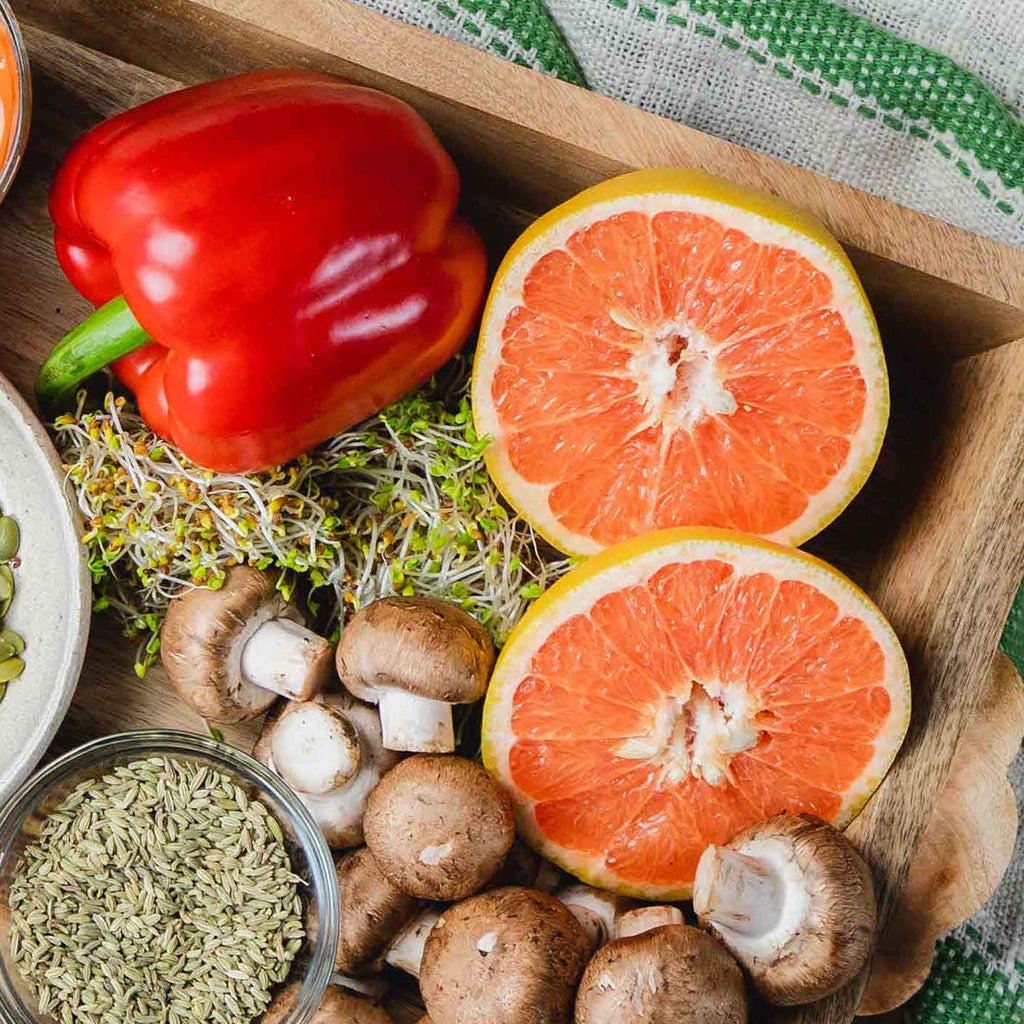 Level 500—Vitalistic Approach to Disease