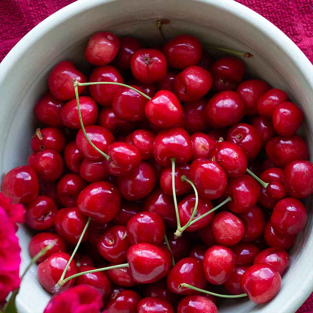 Nutritional Herbalist Program—Online