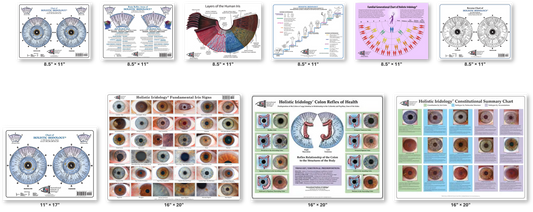 Holistic Iridology® 10 Chart Set