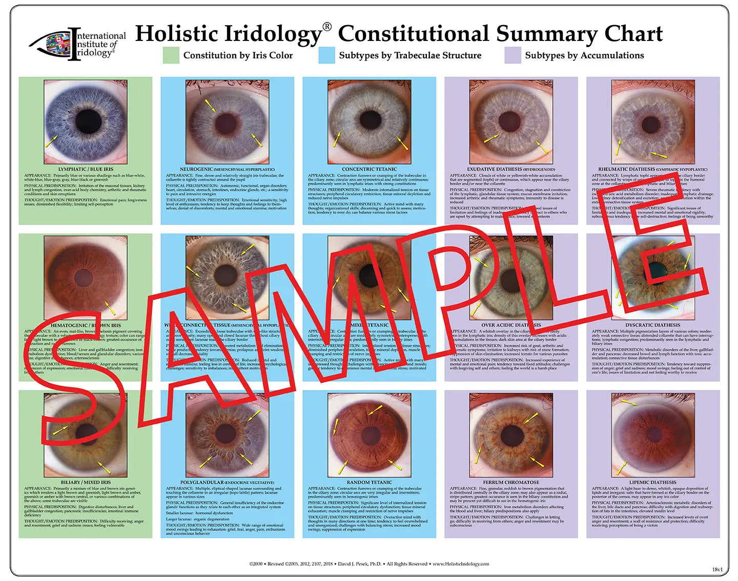 Constitutional Summary Poster Chart