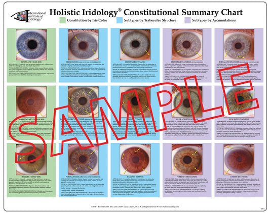 Constitutional Summary Poster Chart