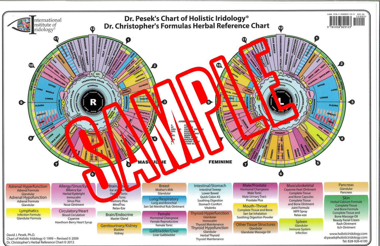 Dr. Pesek's Chart of Holistic Iridology® Dr. Christopher's Formulas Herbal Reference Chart