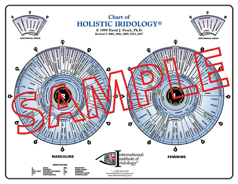 Chart of Holistic Iridology®