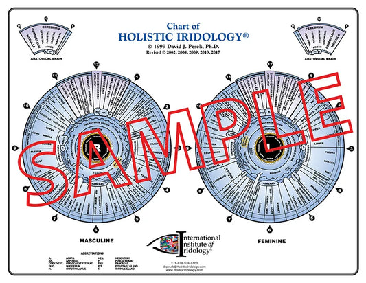 Chart of Holistic Iridology®