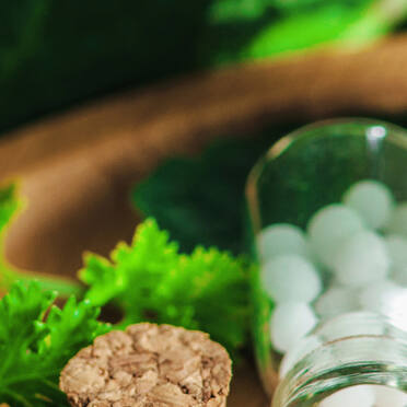 Homeopathy Program