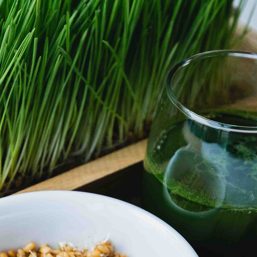 Level 1200—Herbal Chemistry