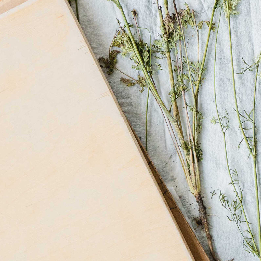 Level 1800—Advanced Botany